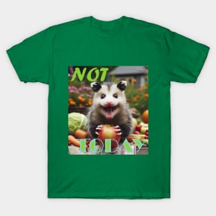 Joyful Opossum T-Shirt